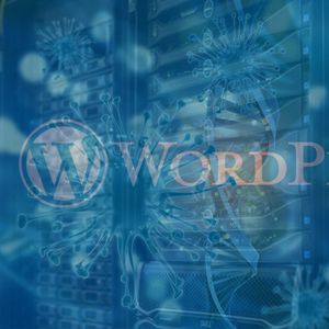 Odwirusowanie-WordPress